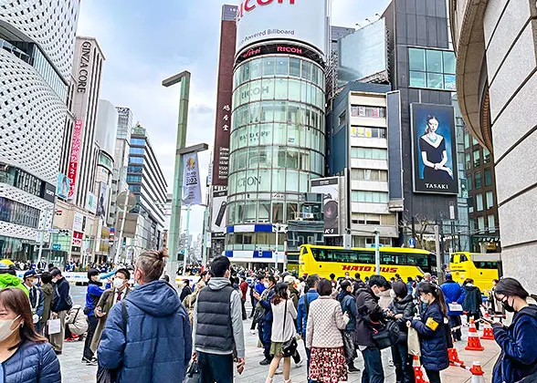 Winter Streetscape in Tokyo