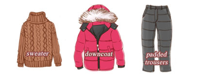 Mount Fuji Clothes in January