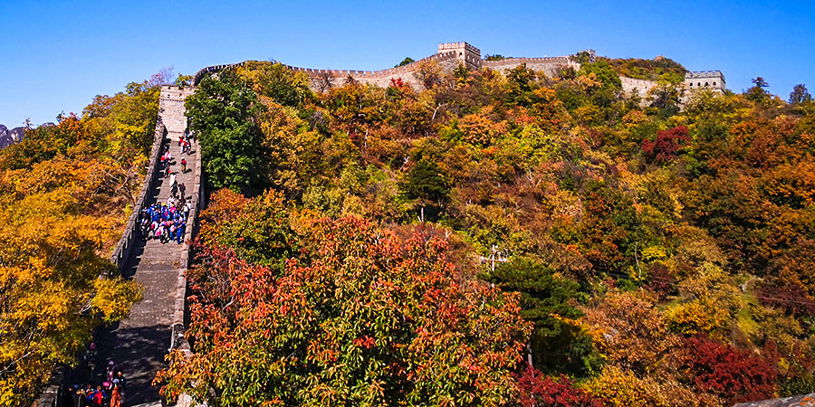 Great Wall in Colorful Autumn