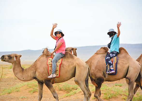 Camel Ride in Mongolia