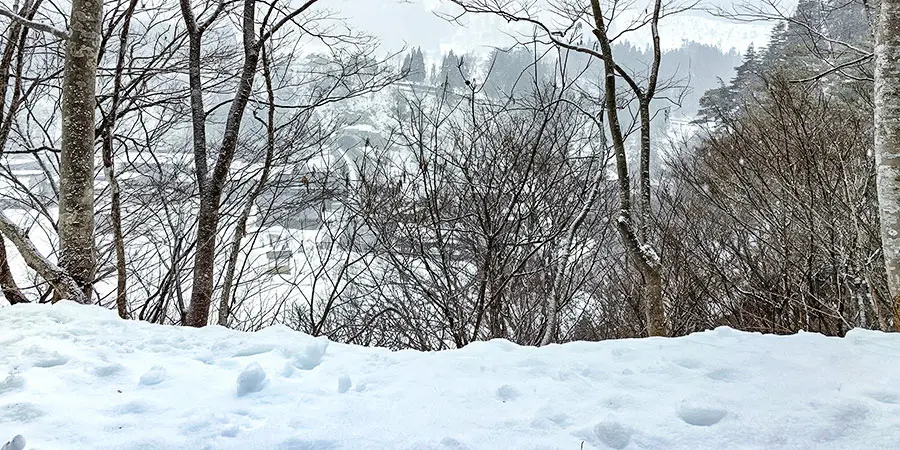 Snow-covered Landscapes, Tokyo