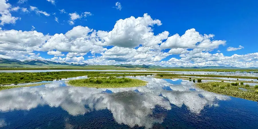 Flower Lake