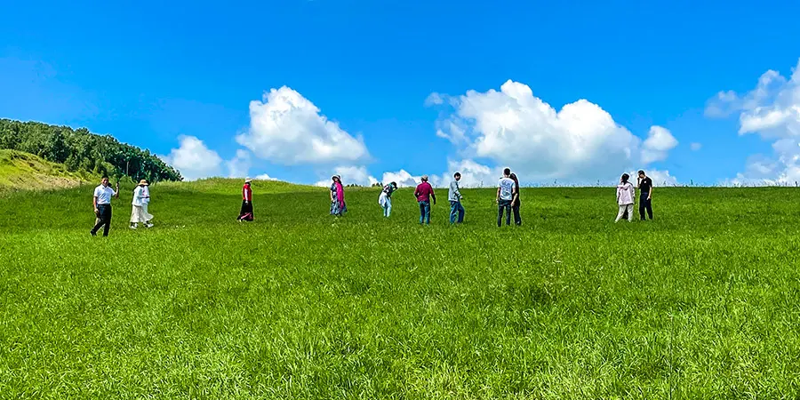 Bashang Grassland Summer