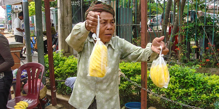 Buying Fruit at the Local Stand