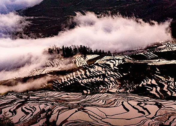 Yuanyang Rice Terraces