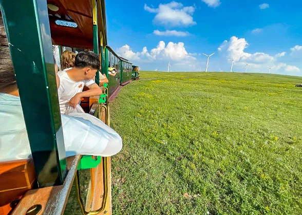 Attractive Grassland in Hohhot