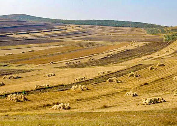 Kashgar Autumn View