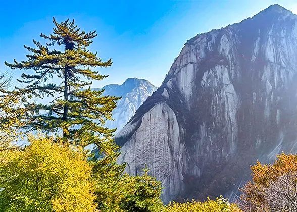 Autumn Leaves in Mt. Huashan