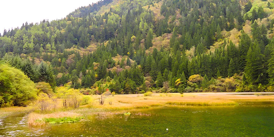 Autumn View in Jiuzhaigou
