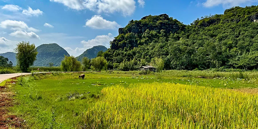 Bamei Village, Wenshan