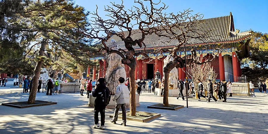 Courtyard of the Benevolence and Longevity Hall