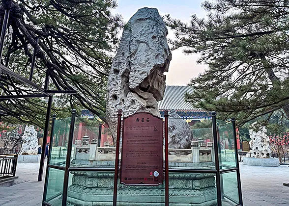 Longevity Deity Rock