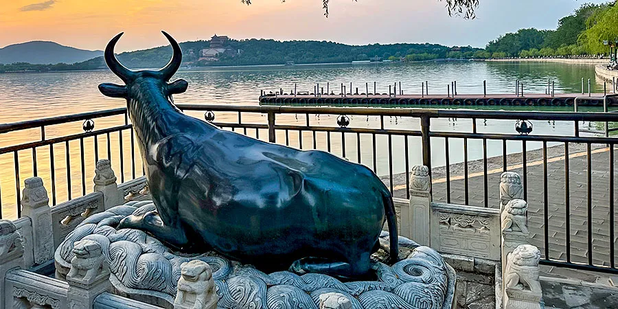 Bronze Ox Facing Longevity Hill