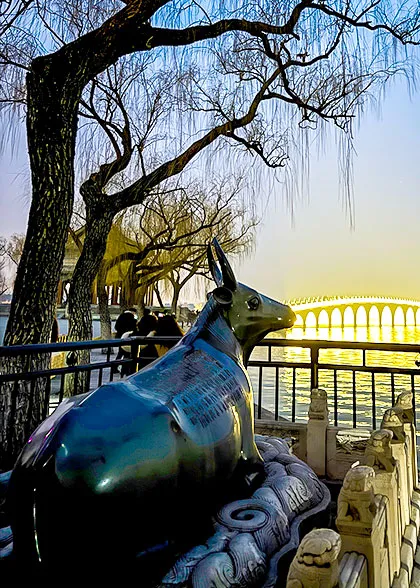 Bronze Ox Night View