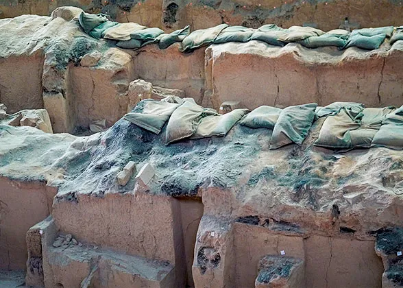 Burnet Remains in Pit 1