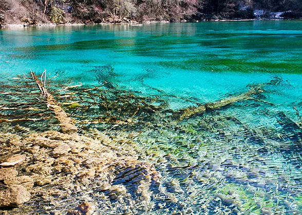 Clear Lake in Jiuzhaigou