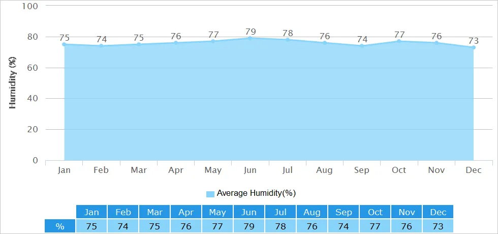 Zhangjiajie Humidity
