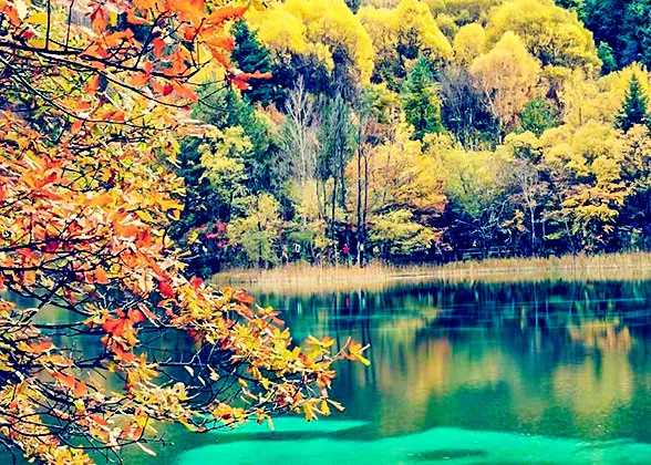 Colorful Scene in Autumn