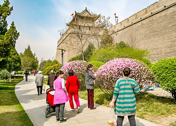 Blooming Flowers at Ring Park