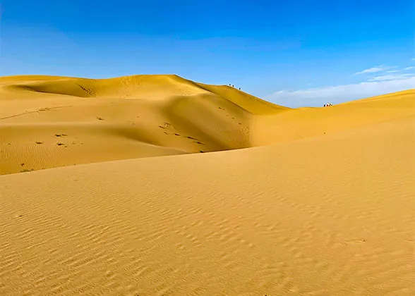 Stunning Dessert View