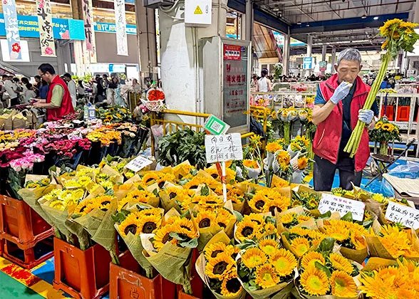 Dounan Flower Market