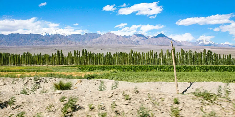 Dry Xinjiang