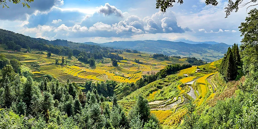 Duoyi Rice Terraces, Yuanyang