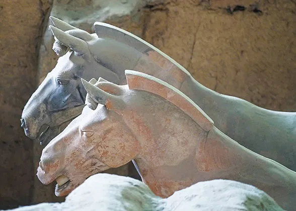 Terracotta Horses Coated with Dust