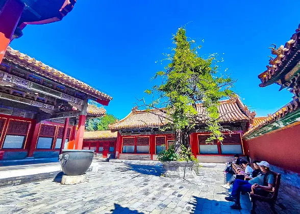 Front Yard of the Palace