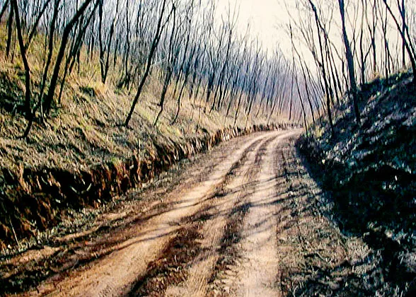 Expressway in Qin Dynasty