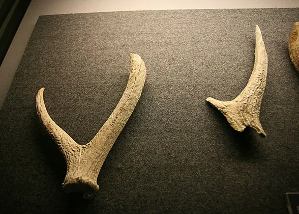 Exhibitions at Hall No.1: Primitive Homeland, Jinsha Site Museum