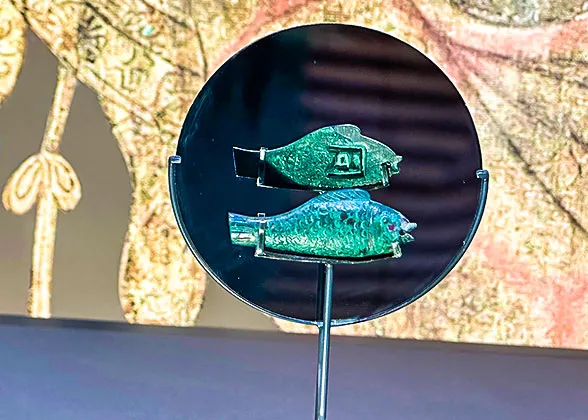 Yang Quanjie’s Fish-shaped Tally