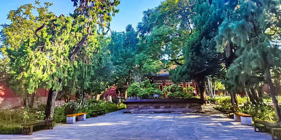 Flat Terrain of the Garden