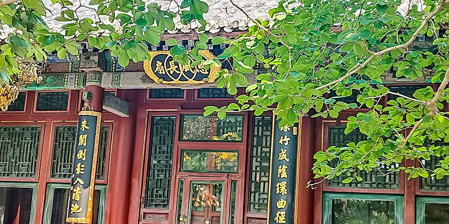 Studio of Remaining Insight