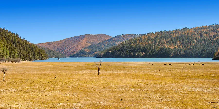 Golden Autumn View of the Pamir Plateau