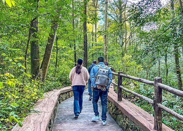 Hiking Trail along Golden Whip Brook