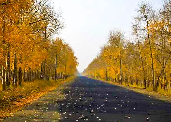 Golden Xinjiang from September to October
