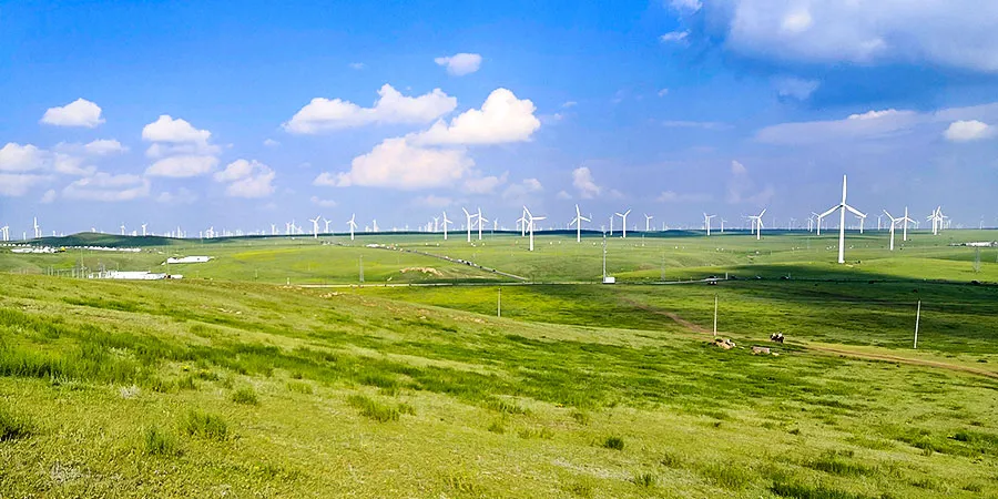 Grassland in Hohhot in May