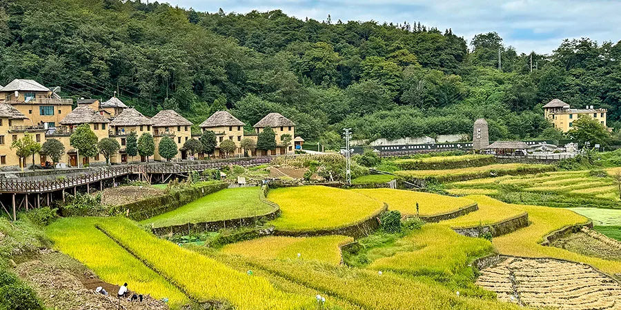Yuanyang Rice Terraces