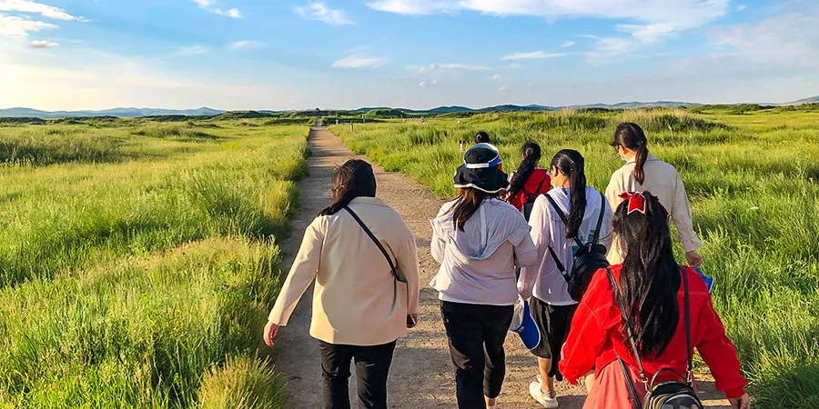 Golden Grassland View in Hohhot