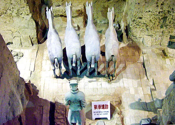 Horses in Pit 3