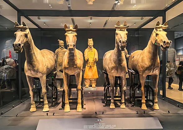 Terracotta Horses and Chariot Warriors