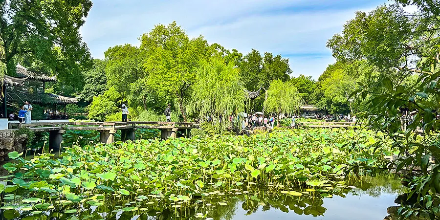 Lotus Flowers in Chengkan in July