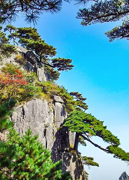 Picturesque Autumn View of Mt. Huangshan