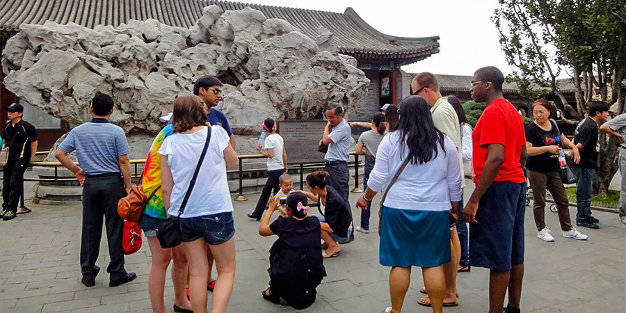 Viewing the Green Ganoderma Rock