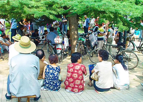 Take a Break in Cool Shades