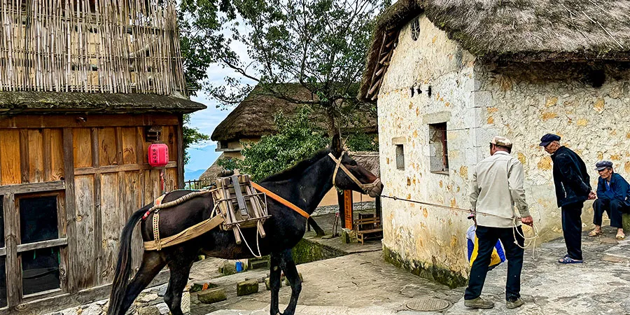 Local Hani People in Azheke Village