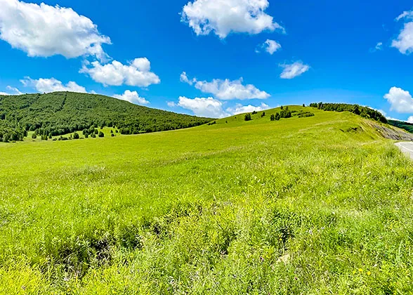 Prosperous Grassland in Hohhot