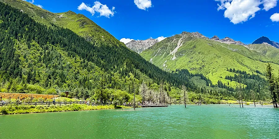 Lush Greenery in Jiuzhaigou