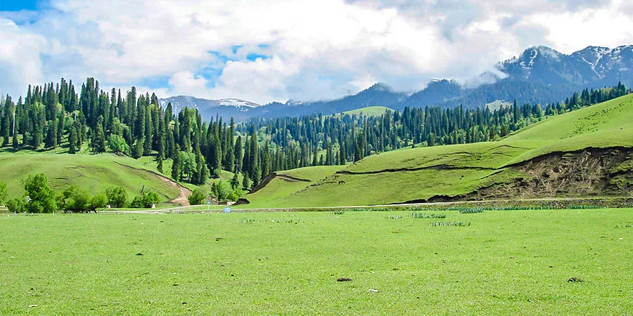 Beautiful Nalati Grassland in July